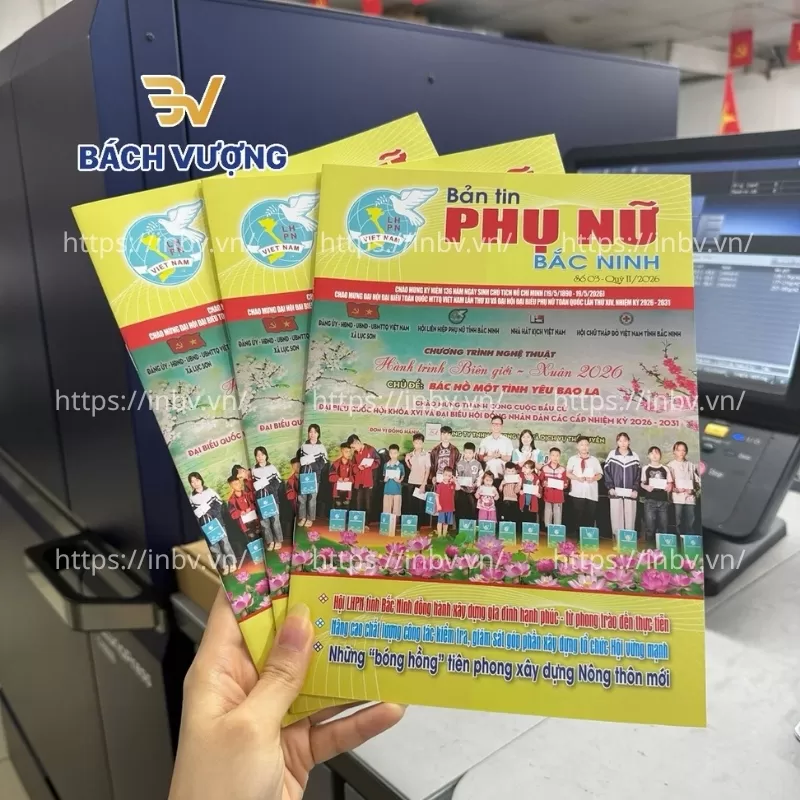 In catalogue kết hợp bản tin