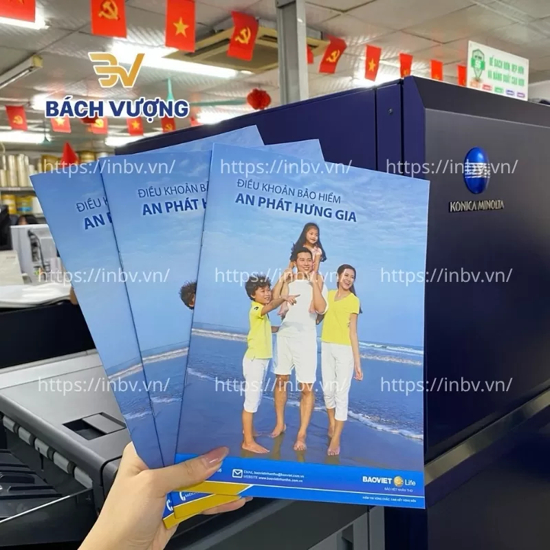 In catalogue dịch vụ bảo hiểm Bảo Việt