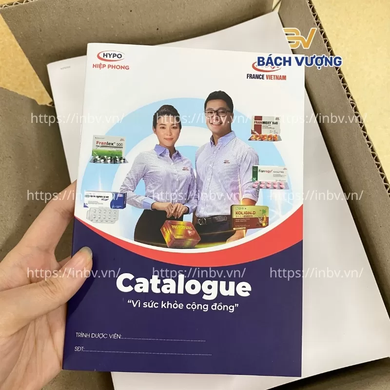 In catalogue c&ocirc;ng ty Hiệp Phong