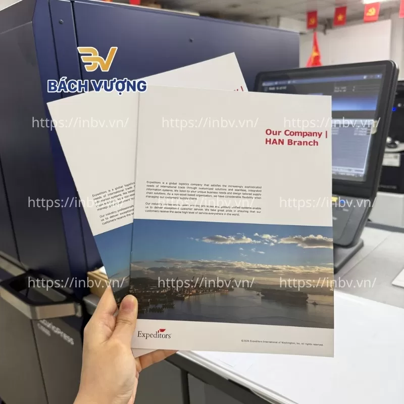 In catalogue doanh nghiệp nước ngo&agrave;i