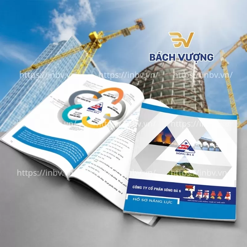 In catalogue c&ocirc;ng ty S&ocirc;ng Đ&agrave;