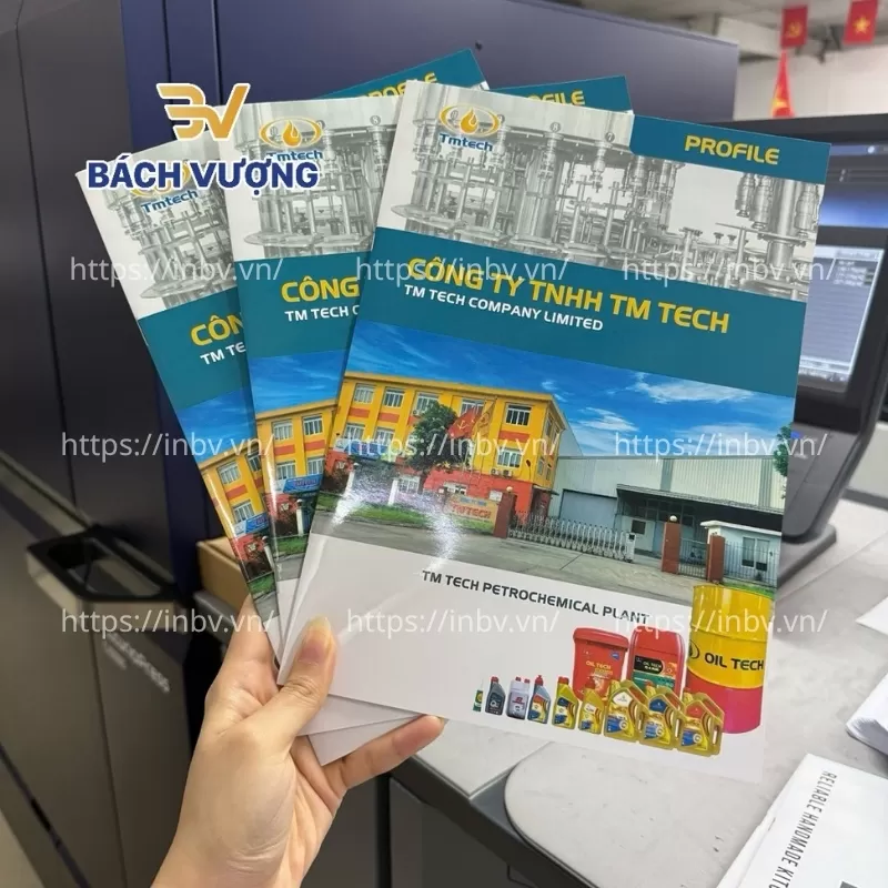 In catalogue c&ocirc;ng ty TM Tech 