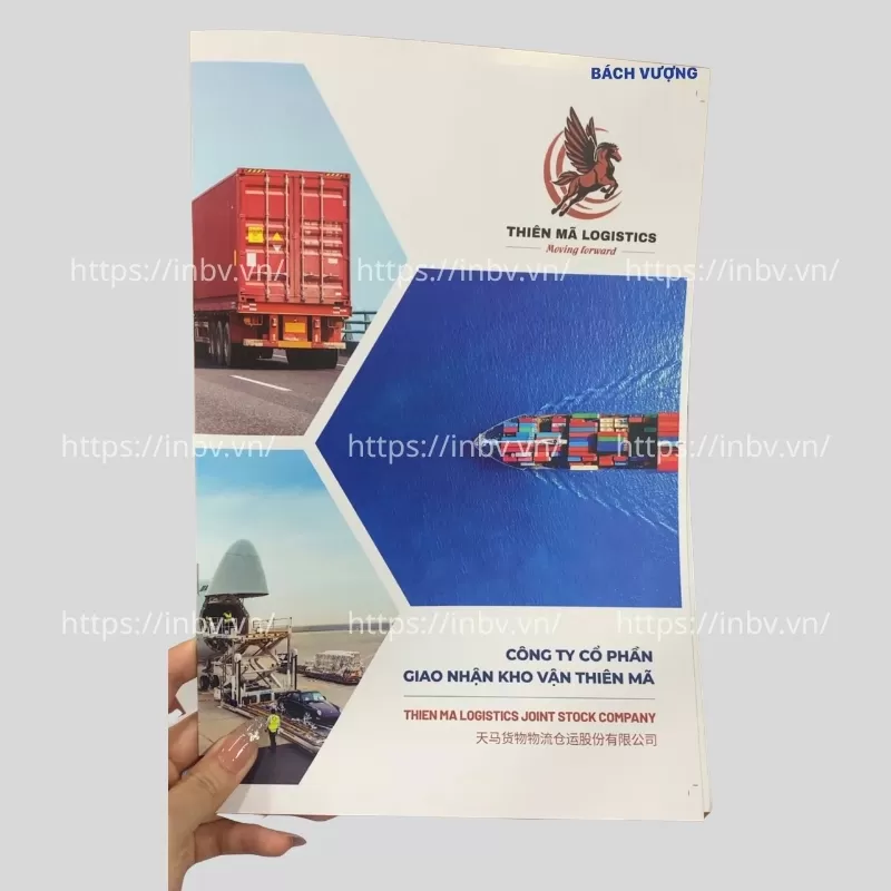 In catalogue c&ocirc;ng ty vận tải logistics