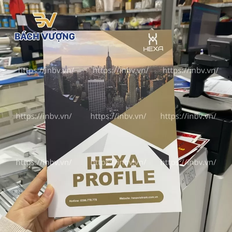 Catalogue c&ocirc;ng ty Hexa