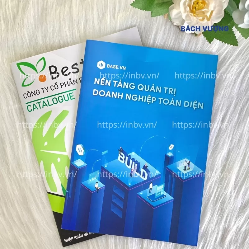 Catalogue giới thiệu phầm mềm quản trị doanh nghiệp