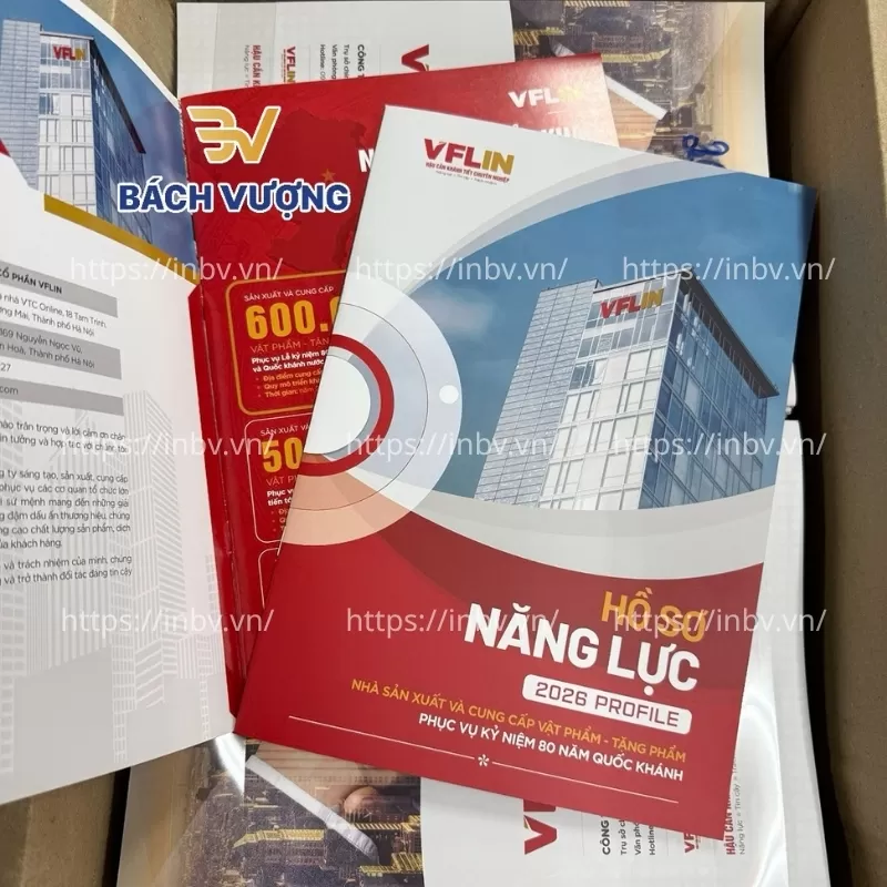 In catalogue c&ocirc;ng ty VFLIN