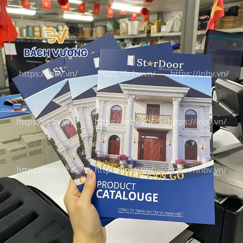 Mẫu in catalogue sản phẩm Star Door