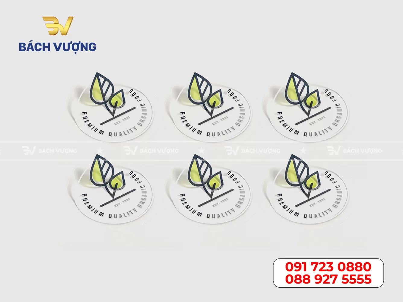 In tem decal nhựa trong