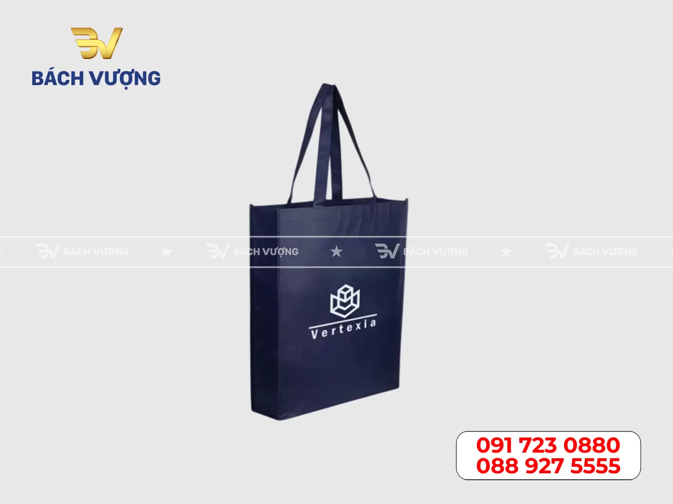 Mẫu túi vải không dệt 01