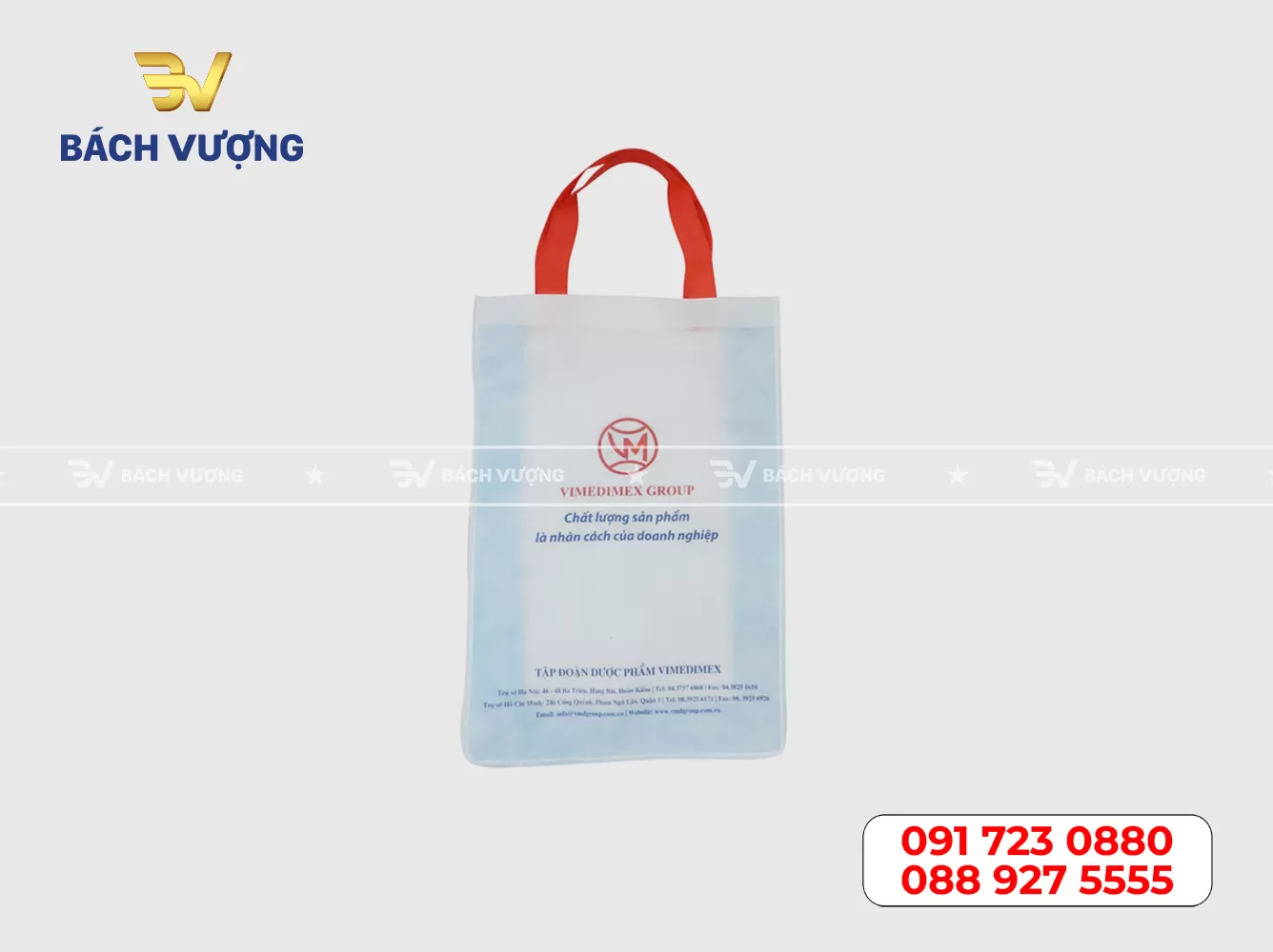 Mẫu túi vải không dệt 01