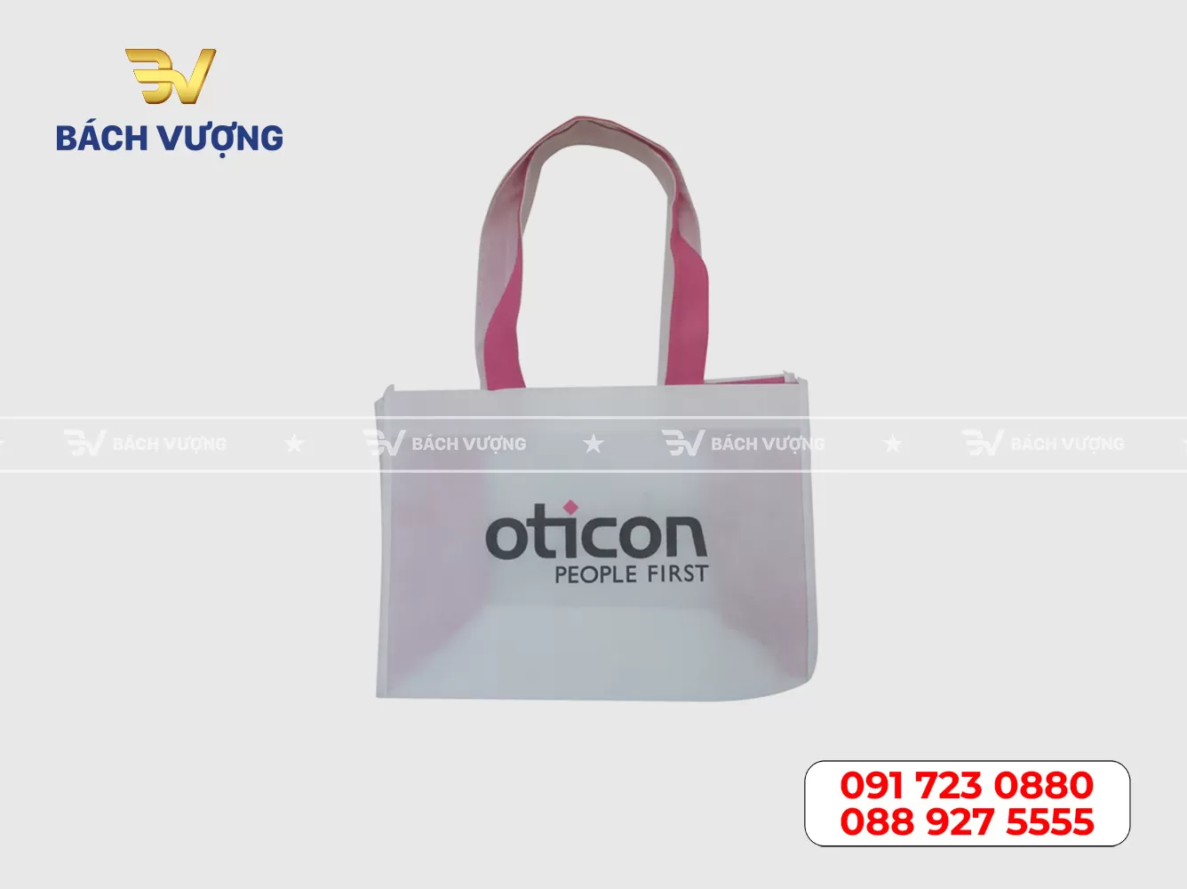 Mẫu túi vải không dệt 01