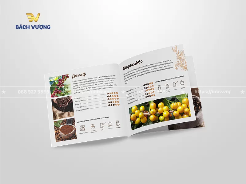 Trang nội dung mẫu catalogue coffee giới thiệu chi tiết d&ograve;ng c&agrave; ph&ecirc; th&ocirc;ng số trực quan c&ugrave;ng h&igrave;nh ảnh minh họa sống động quy tr&igrave;nh thu hoạch, chế biến