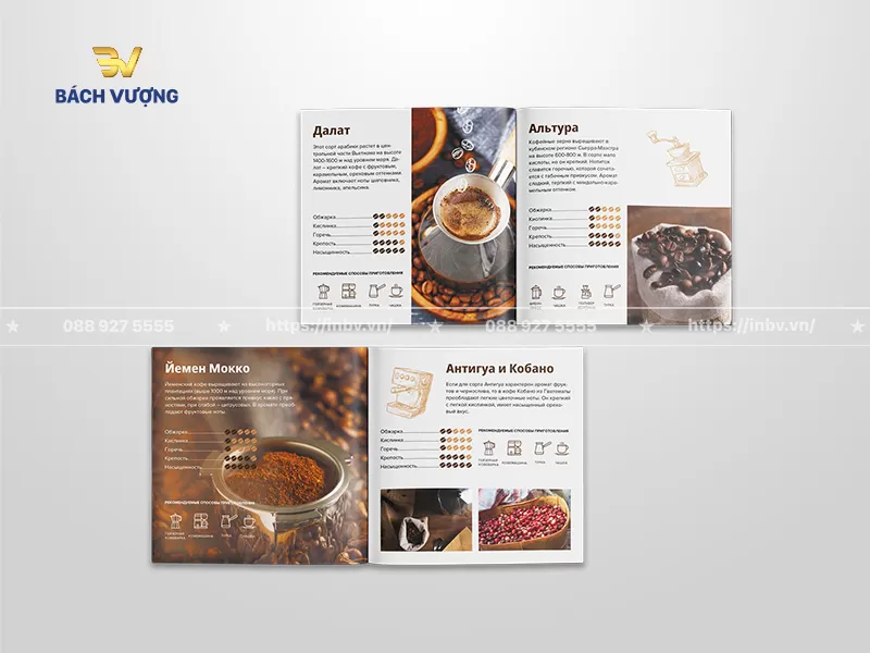 Trang nội dung mẫu catalogue coffee khổ vu&ocirc;ng giới thiệu c&aacute;c loại hạt c&agrave; ph&ecirc; đ&aacute;nh gi&aacute; chi tiết về độ rang, vị chua, độ đắng, độ đậm đặc k&egrave;m biểu tượng hướng dẫn c&aacute;ch pha chế