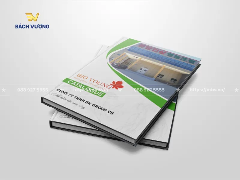 40+ Mẫu catalogue dịch vụ chăm sóc sức khoẻ đẹp