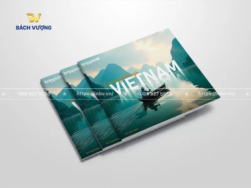 30+ Mẫu catalogue du lịch đẹp, thu hút & sang trọng