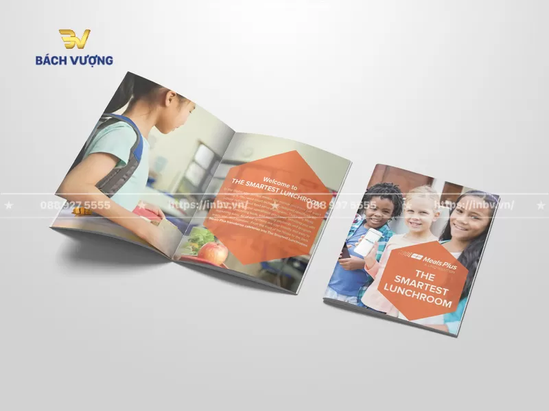 30+ Mẫu catalogue giáo dục đẹp & chất lượng