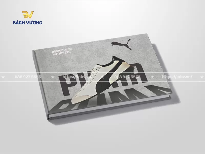 Top 22 Mẫu catalogue giày thiết kế độc đáo & phong cách