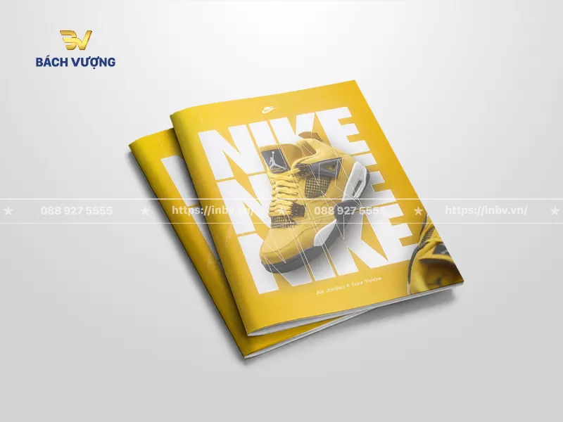 Top 22 Mẫu catalogue giày thiết kế độc đáo & phong cách