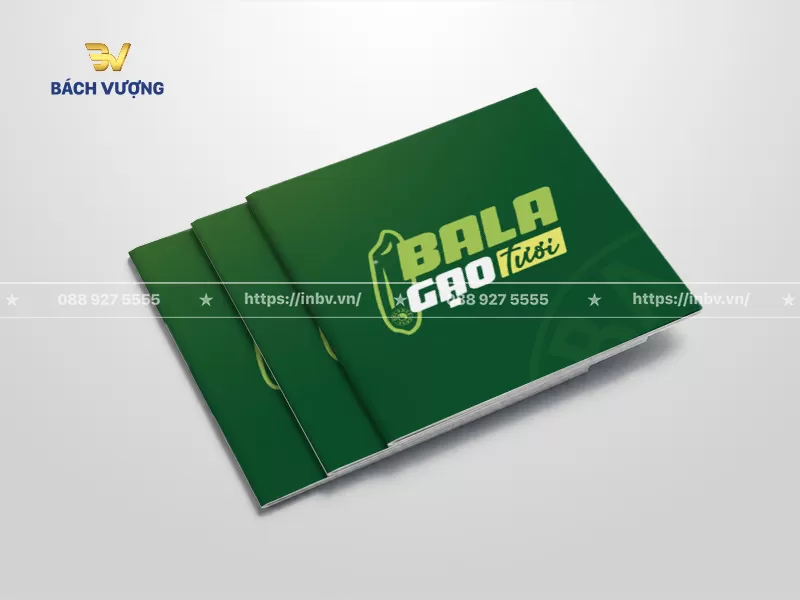 10+ Mẫu catalogue mini đẹp, độc đáo & ấn tượng