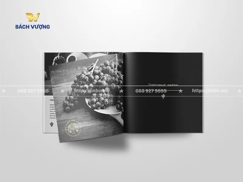 mẫu catalogue rượu vang sang trọng phong c&aacute;ch tối giản sử dụng tone đen chủ đạo c&ugrave;ng h&igrave;nh ảnh ch&ugrave;m nho tươi trắng đen nghệ thuật