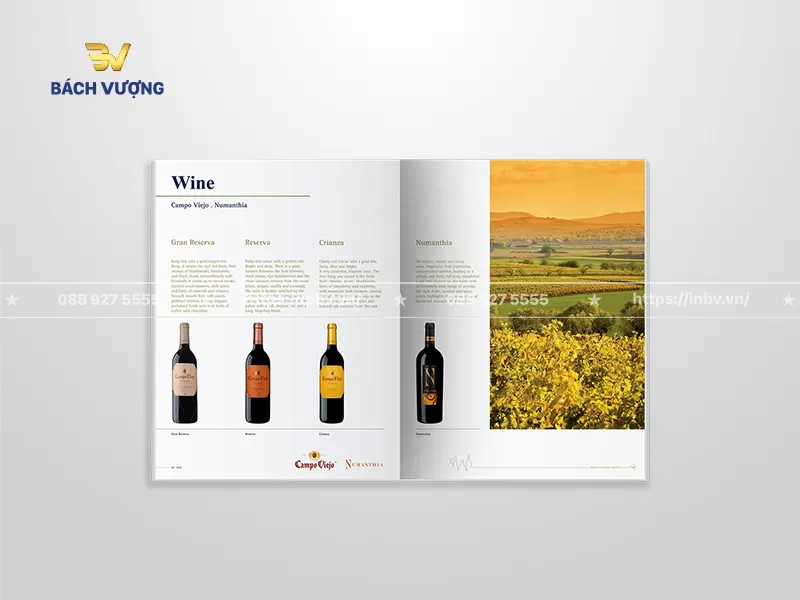 Thiết kế trang mẫu catalogue rượu vang chứa danh mục sản phẩm đi k&egrave;m th&ocirc;ng tin m&ocirc; tả chi tiết, h&igrave;nh ảnh chai rượu r&otilde; n&eacute;t & bức trang phong cảnh c&aacute;nh đồng nho tươi s&aacute;ng