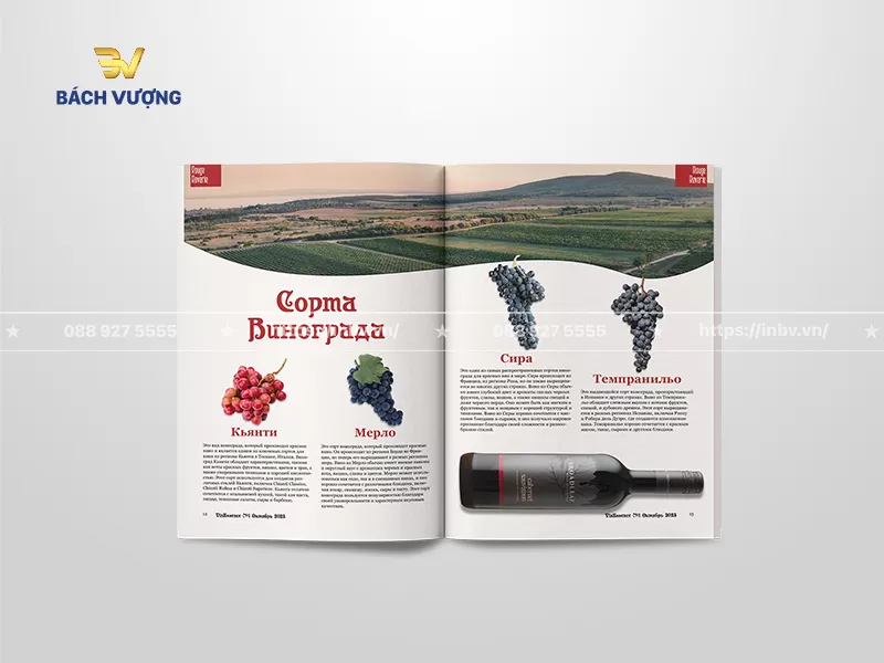 Thiết kế trang th&ocirc;ng tin mẫu catalogue rượu giới thiệu c&aacute;c giống nho l&agrave;m rượu nổi tiếng với h&igrave;nh ảnh c&aacute;nh đồng nho bạt ng&agrave;n c&ugrave;ng h&igrave;nh ảnh minh họa c&aacute;c ch&ugrave;m nho tươi & chai vang tạo điểm nhấn