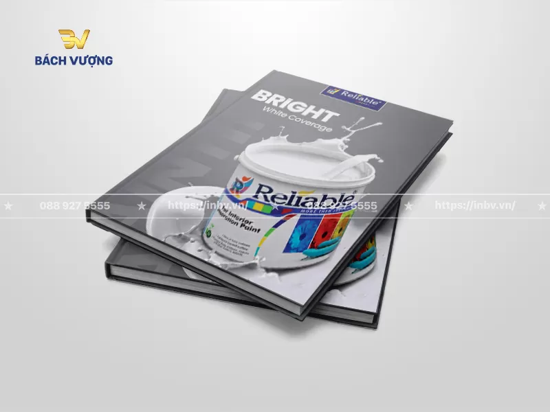 mẫu catalogue sơn giới thiệu giải ph&aacute;p sơn trắng si&ecirc;u che phủ nền x&aacute;m đen hiện đại