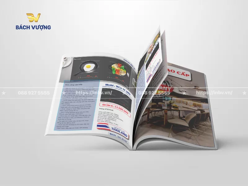 Thiết kế trang bếp từ nhập khẩu trong mẫu catalogue thiết bị điện với h&igrave;nh ảnh m&oacute;n ăn sinh động, danh s&aacute;ch t&iacute;nh năng nổi bật, th&ocirc;ng số kỹ thuật, gi&aacute; b&aacute;n lẻ ni&ecirc;m yết v&agrave; tem xuất xứ