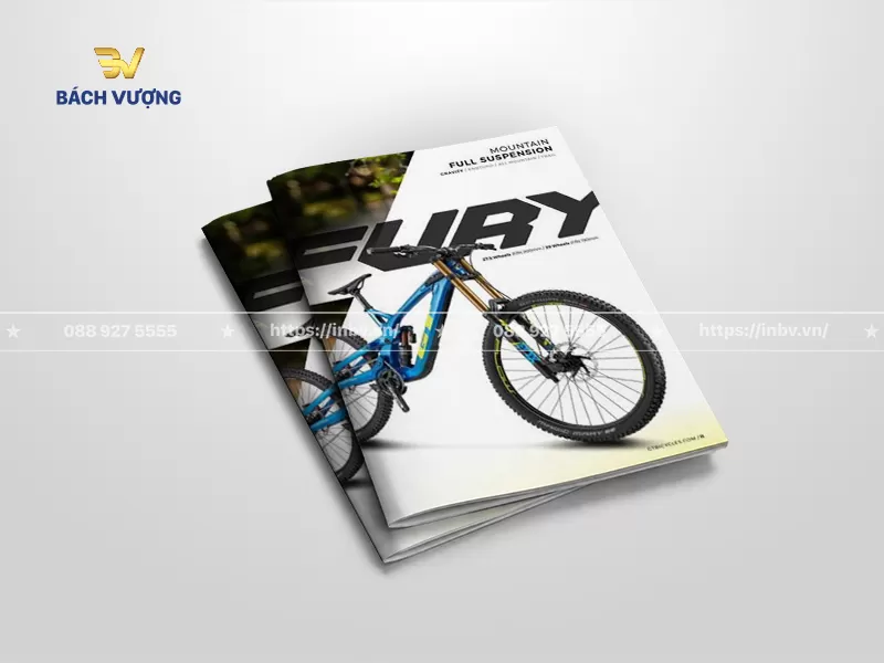 40+ Mẫu catalogue xe đạp đẹp, chuyên nghiệp & uy tín