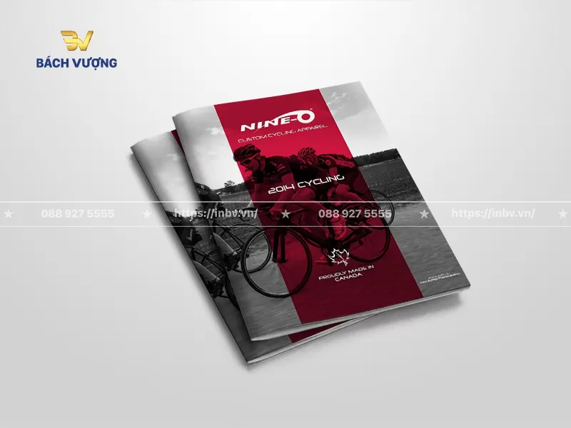 40+ Mẫu catalogue xe đạp đẹp, chuyên nghiệp & uy tín