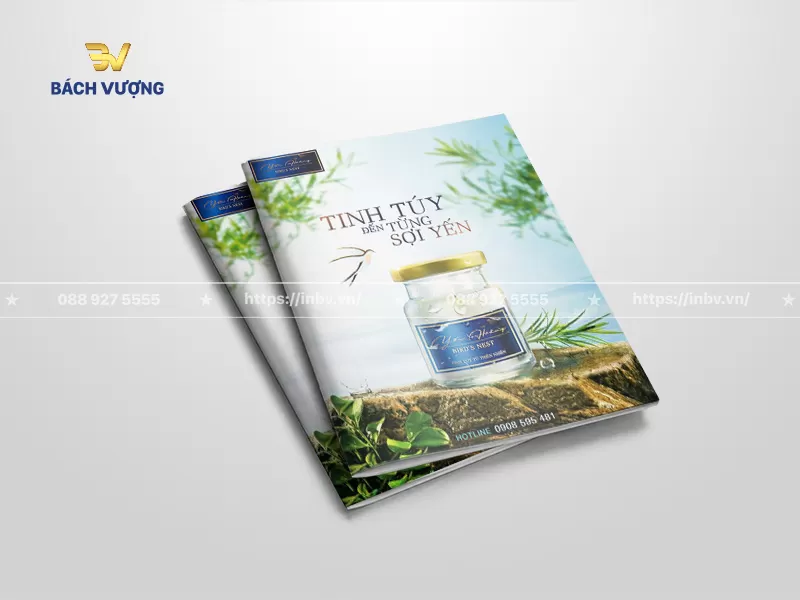 Top 40 mẫu catalogue yến sào đẹp & ấn tượng với khách hàng