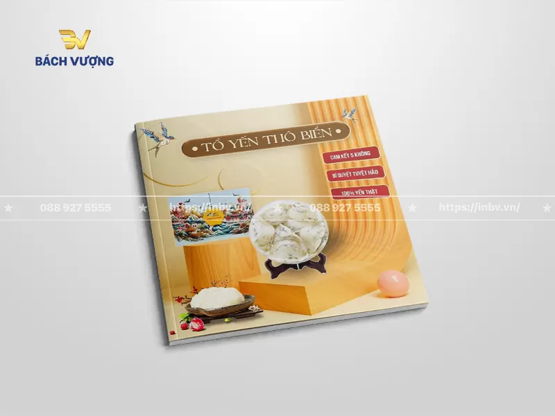 Top 40 mẫu catalogue yến sào đẹp & ấn tượng với khách hàng