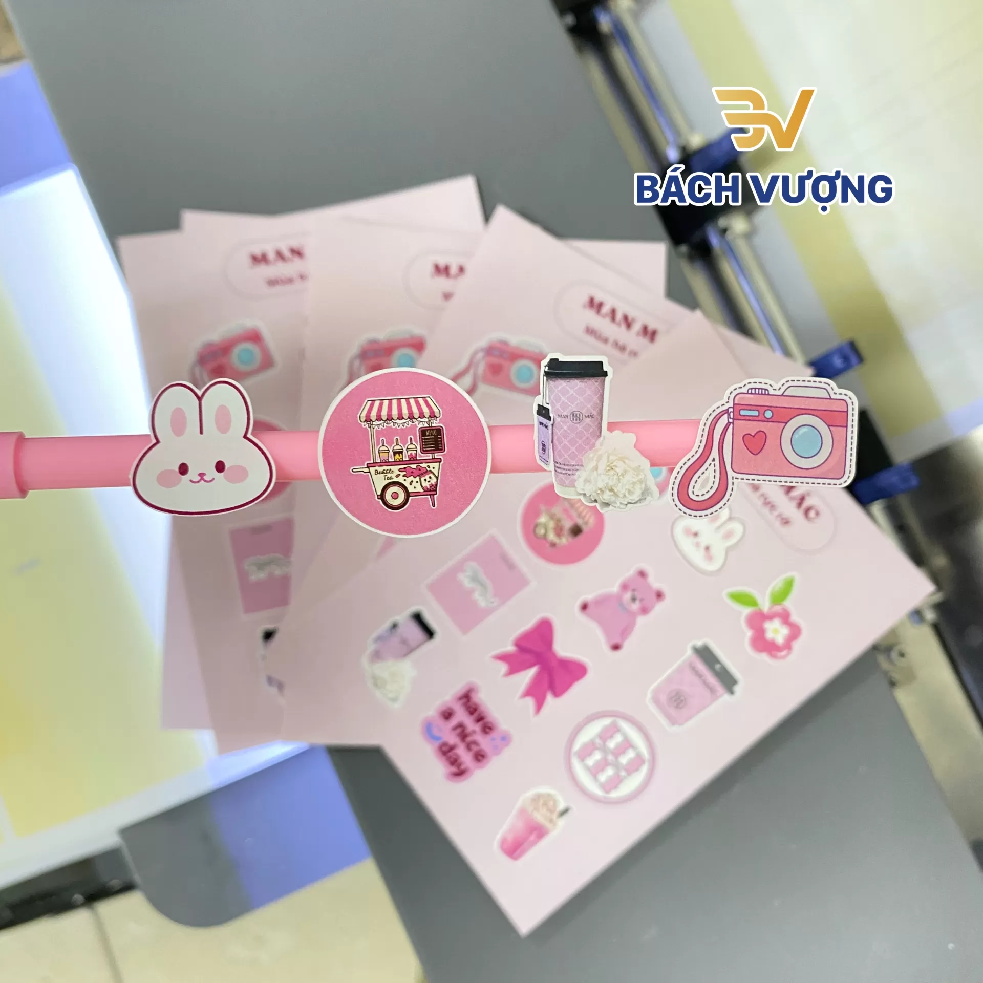 Kho mẫu in sticker tại B&aacute;ch Vượng