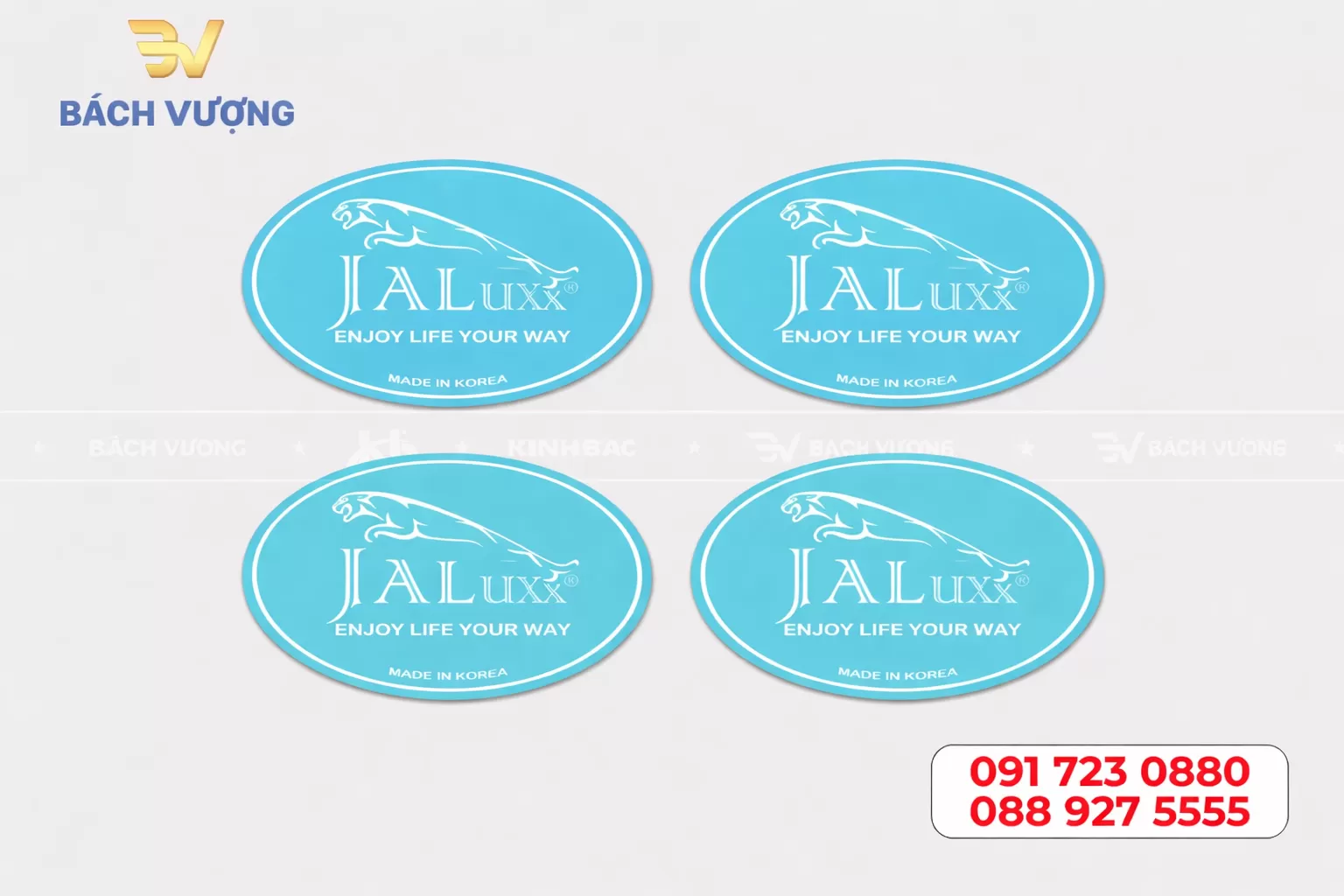 In tem decal nhựa đục B&aacute;ch Vượng - sắc n&eacute;t, lấy ngay