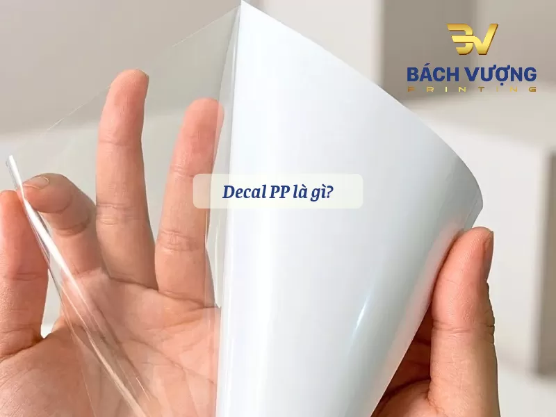Kh&aacute;i niệm decal PP