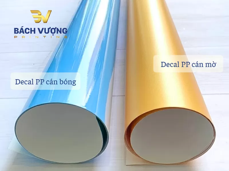 Ph&acirc;n biệt decal PP c&aacute;n b&oacute;ng & c&aacute;n mờ