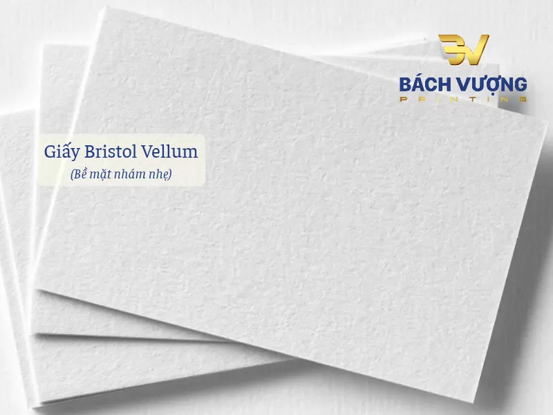 Chất liệu giấy Bristol Vellum d&agrave;y dặn cứng c&aacute;p sở hữu bề mặt th&ocirc; nh&aacute;m nhẹ tự nhi&ecirc;n
