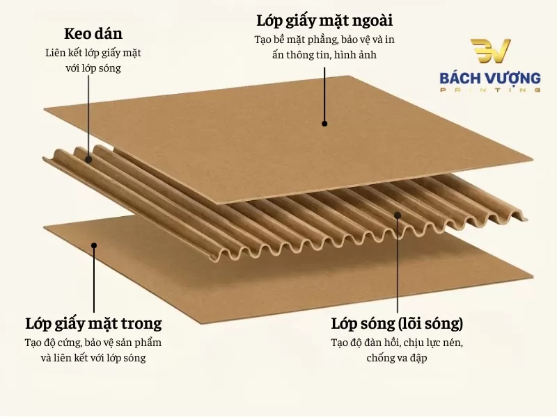 Cấu tạo giấy carton s&oacute;ng 3 lớp