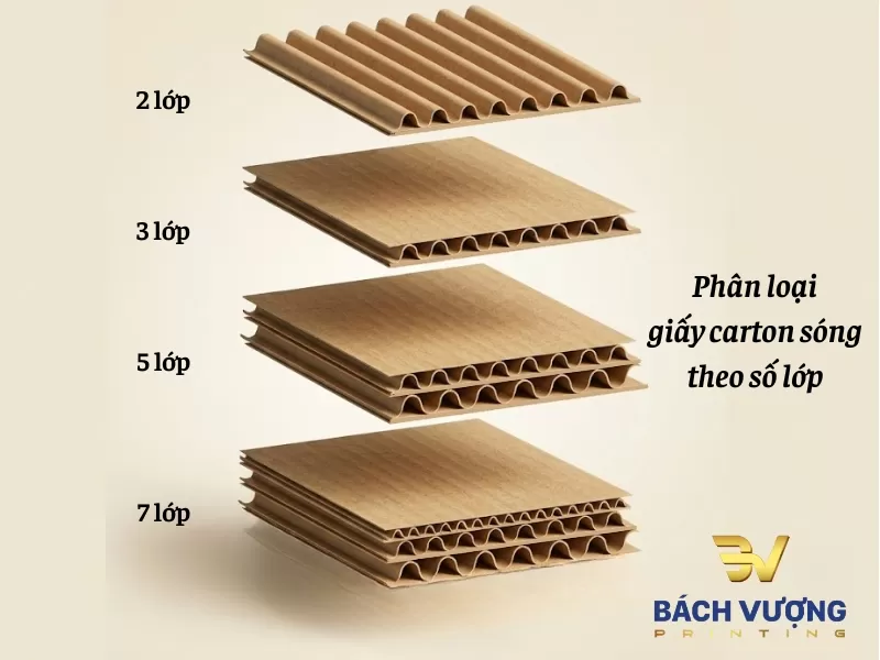 Ph&acirc;n loại c&aacute;c d&ograve;ng giấy carton s&oacute;ng theo số lượng lớp giấy
