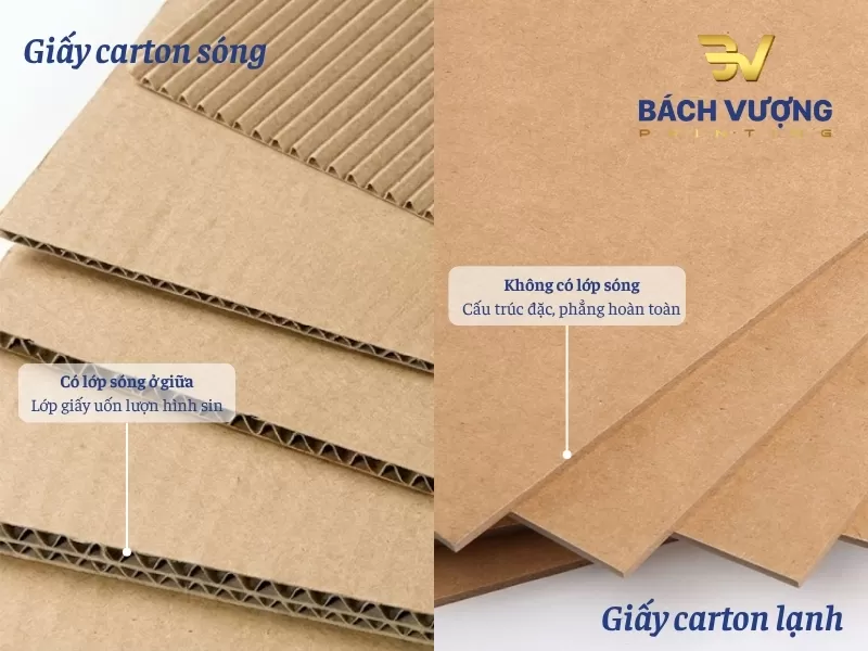 Sự kh&aacute;c biệt trực quan giữa carton s&oacute;ng & carton lạnh