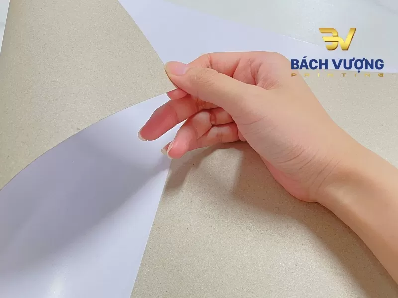 Mẫu giấy duplex kết cấu 2 mặt kh&aacute;c biệt