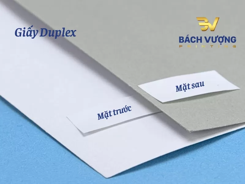 Cấu tạo mặt trước v&agrave; mặt sau của giấy Duplex