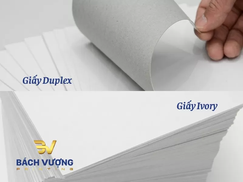 Sự kh&aacute;c biệt kết cấu giữa chất liệu giấy Duplex v&agrave; giấy Ivory