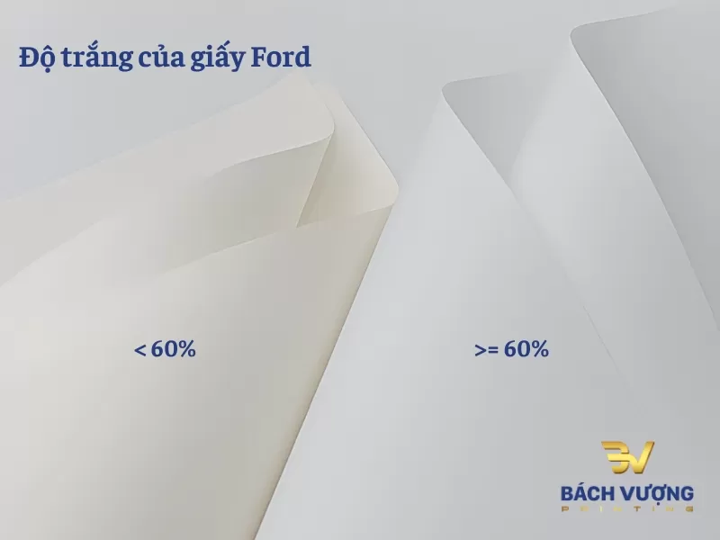 Sự kh&aacute;c biệt giữa c&aacute;c cấp độ trắng của giấy Ford: Độ trắng thấp (<60%) th&iacute;ch hợp in s&aacute;ch đọc chống mỏi mắt, trong khi độ trắng cao (>=60%) tối ưu cho t&agrave;i liệu văn ph&ograve;ng