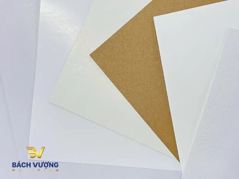 Tổng hợp c&aacute;c mẫu giấy in ấn phổ biến