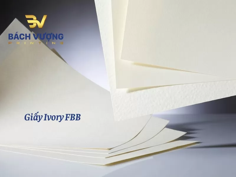 Chất liệu giấy Ivory FBB