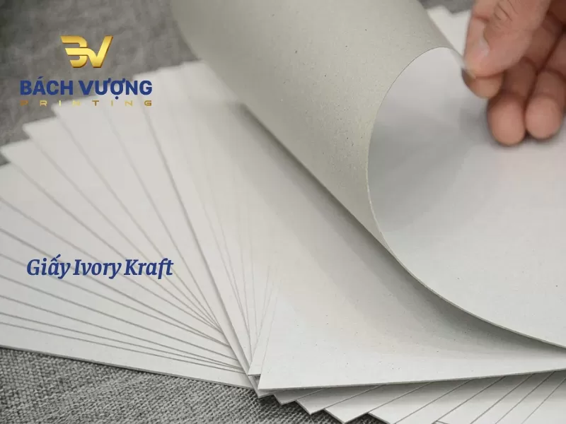 Chất liệu giấy Ivory Kraft d&agrave;y dặn, c&oacute; độ bền x&eacute; v&agrave; chịu lực k&eacute;o cực tốt