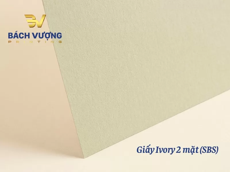 Chất liệu giấy SBS (Solid Bleached Sulfate)