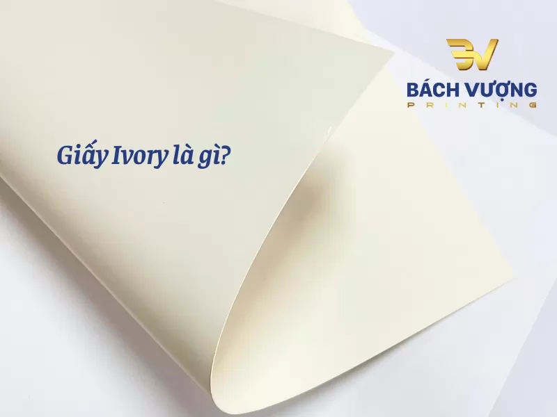 Chất liệu giấy Ivory nguy&ecirc;n bản d&agrave;y dặn, c&oacute; độ đ&agrave;n hồi cao v&agrave; sắc trắng kem sang trọng