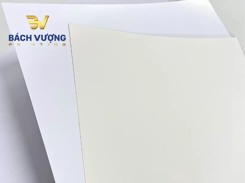 Cách phân biệt màu sắc phôi giấy Couche và giấy Ivory trong ngành in